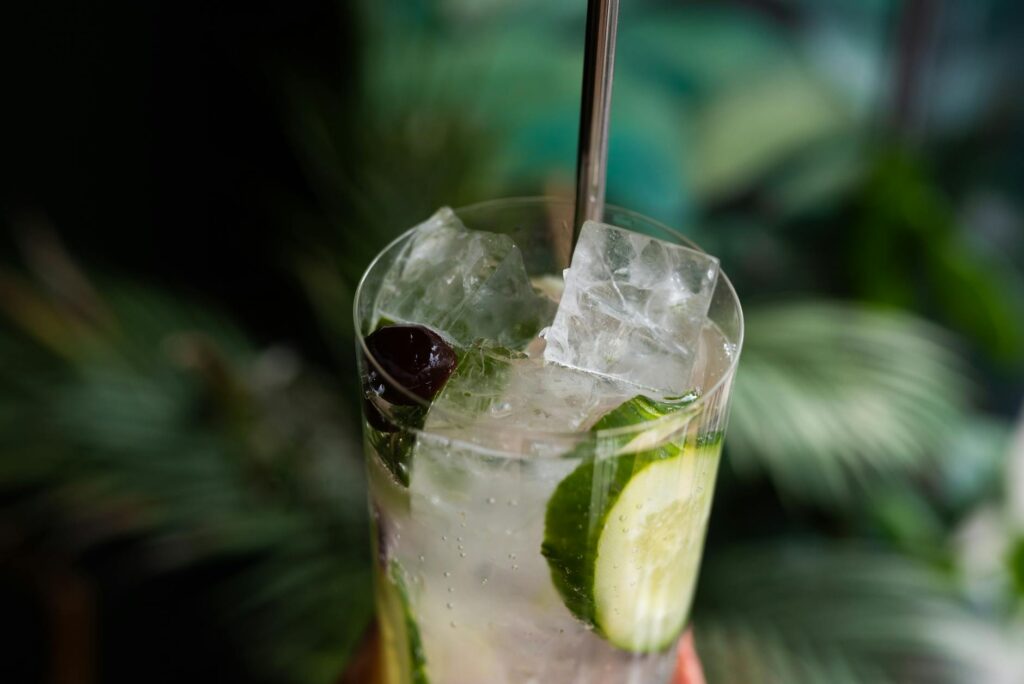 Cucumber gin cocktail with lime and mint
